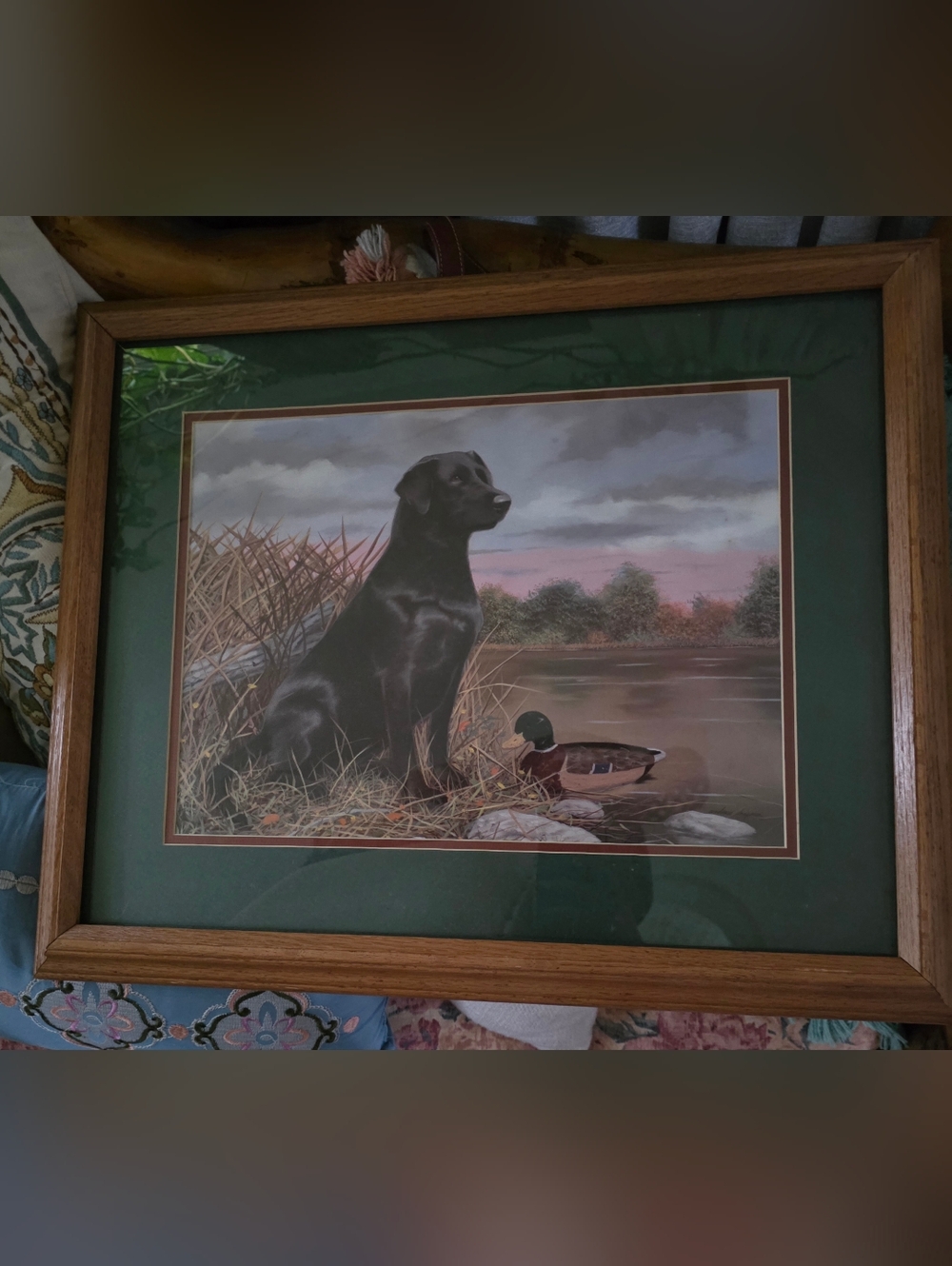 Black Labrador Art Print with Duck in Marsh - Framed Vintage 90s Andrew Chapman